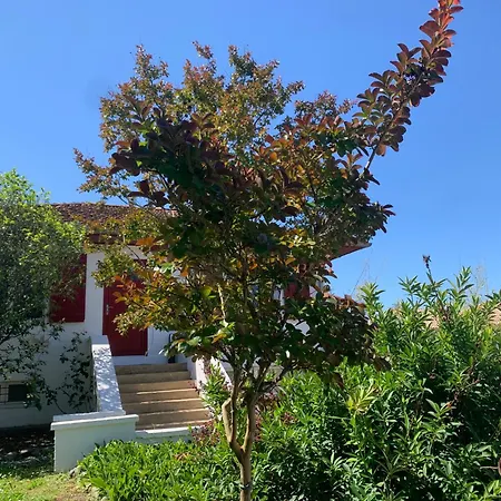 Jolie Maison Avec Tres Belle Terrasse Couverte A 10 Min Du Centre De Salies De Bearn *