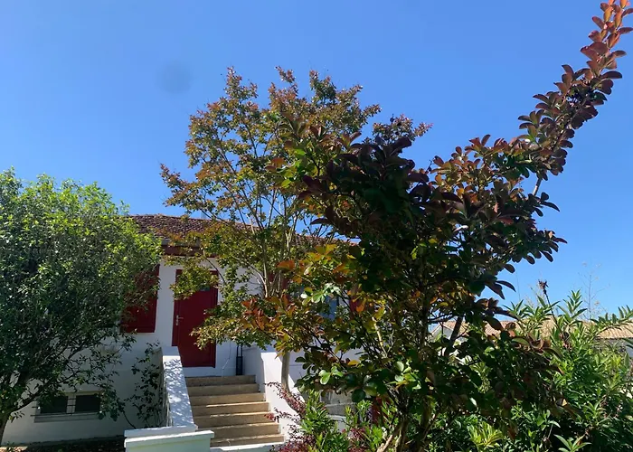 Jolie Maison Avec Tres Belle Terrasse Couverte A 10 Min Du Centre De Salies De Bearn